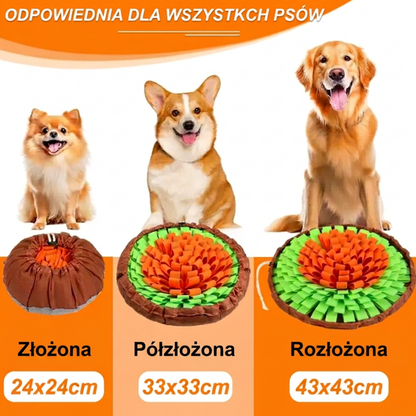 Interaktywna mata węchowa dla psa
