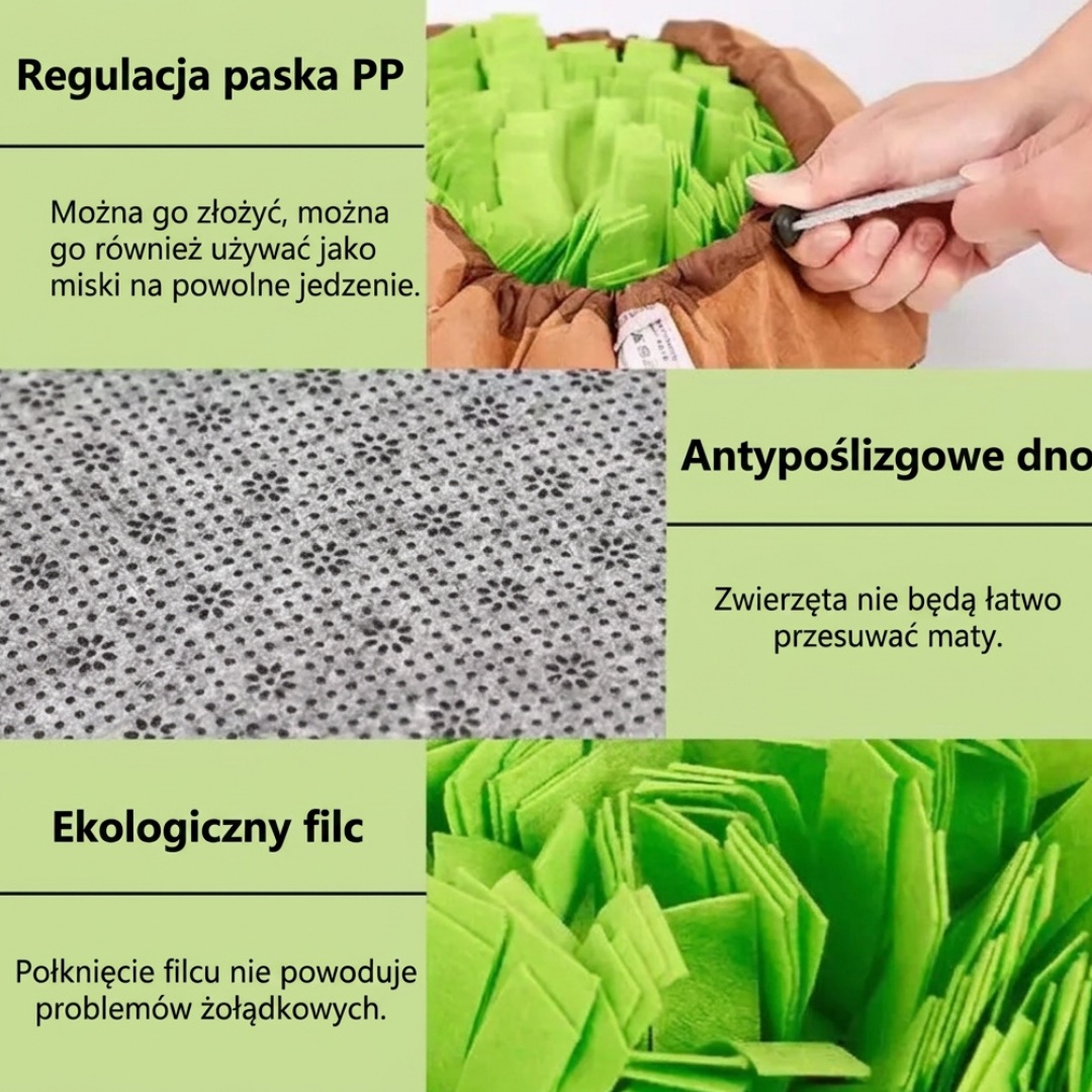 Interaktywna mata węchowa dla psa