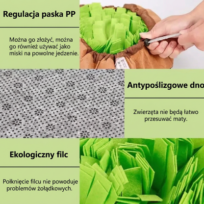 Interaktywna mata węchowa dla psa