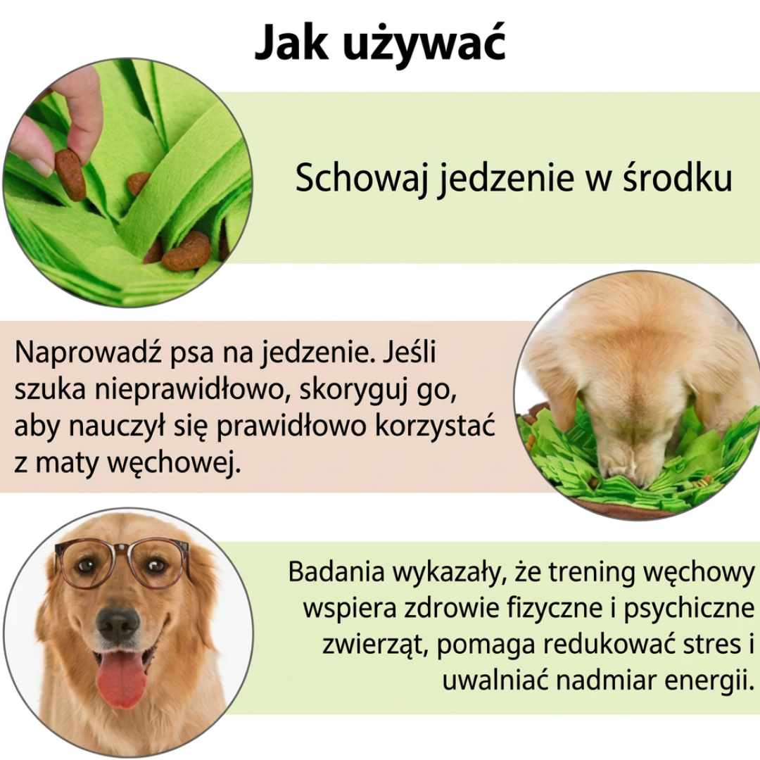 Interaktywna mata węchowa dla psa