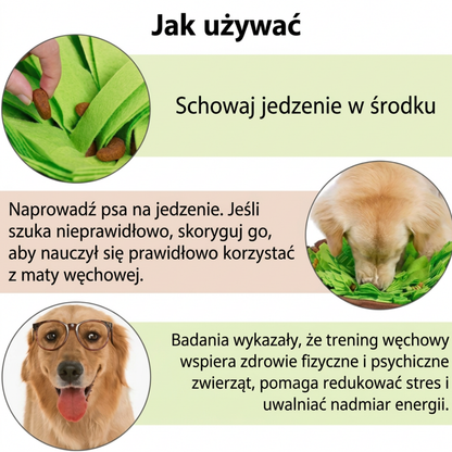 Interaktywna mata węchowa dla psa